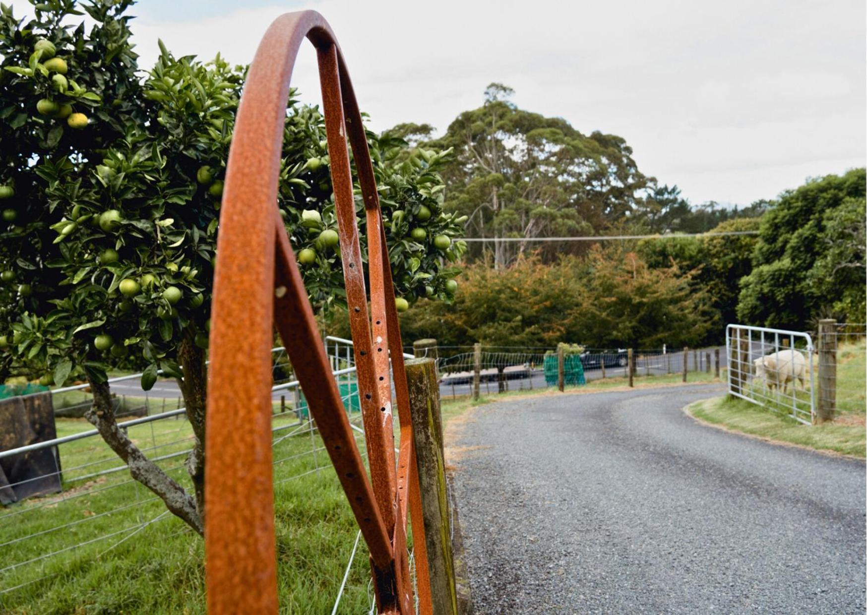 Minden Meadows Retreat Guest House Tauranga Exterior photo